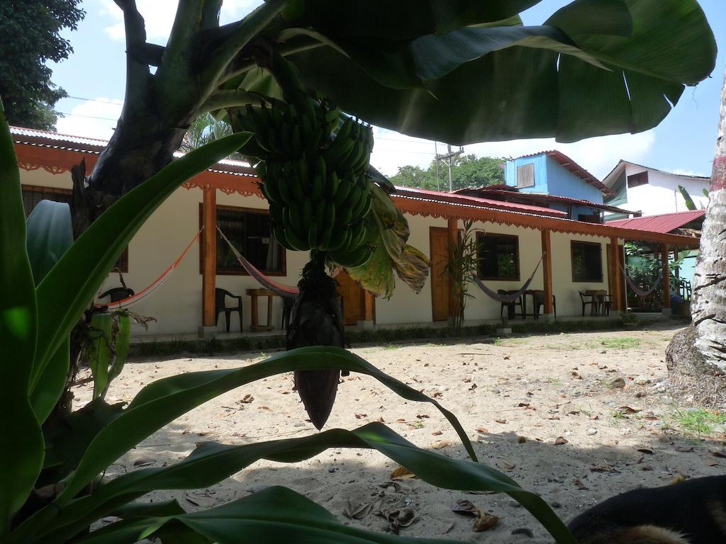Yucca Beachfront Hotel Puerto Viejo de Talamanca Kültér fotó