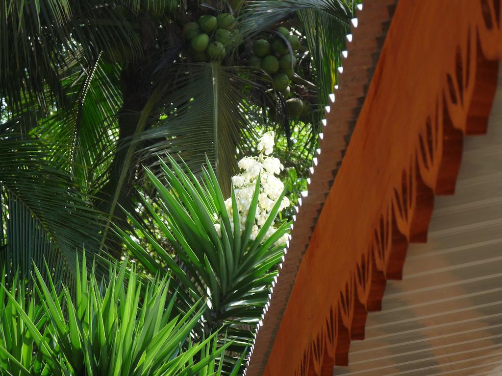 Yucca Beachfront Hotel Puerto Viejo de Talamanca Kültér fotó