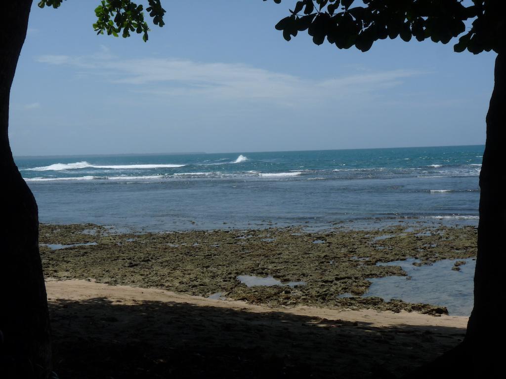 Yucca Beachfront Hotel Puerto Viejo de Talamanca Kültér fotó